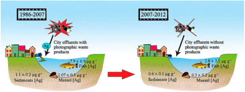 Graphical abstract showing changes in silver cycling before and after film processing industrial changes