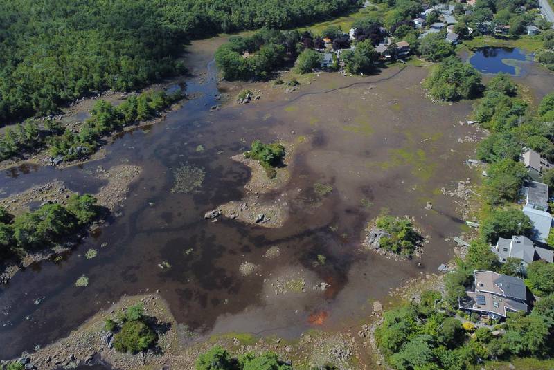 Drone photograph of a lake with very low water levels, houses and trees surrounding shoreline