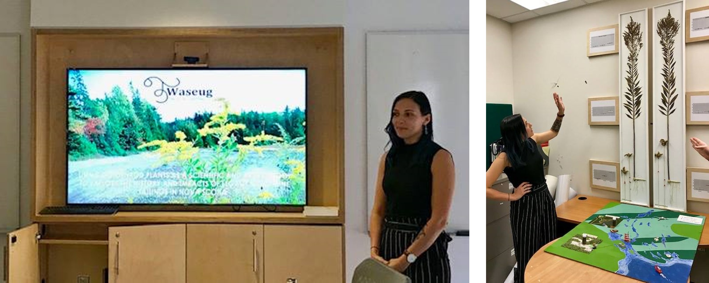 2-photo array of Brittany Hill presenting her honours thesis and showing her art-science project with goldenrods and a 3-d map of Montague in HRM.