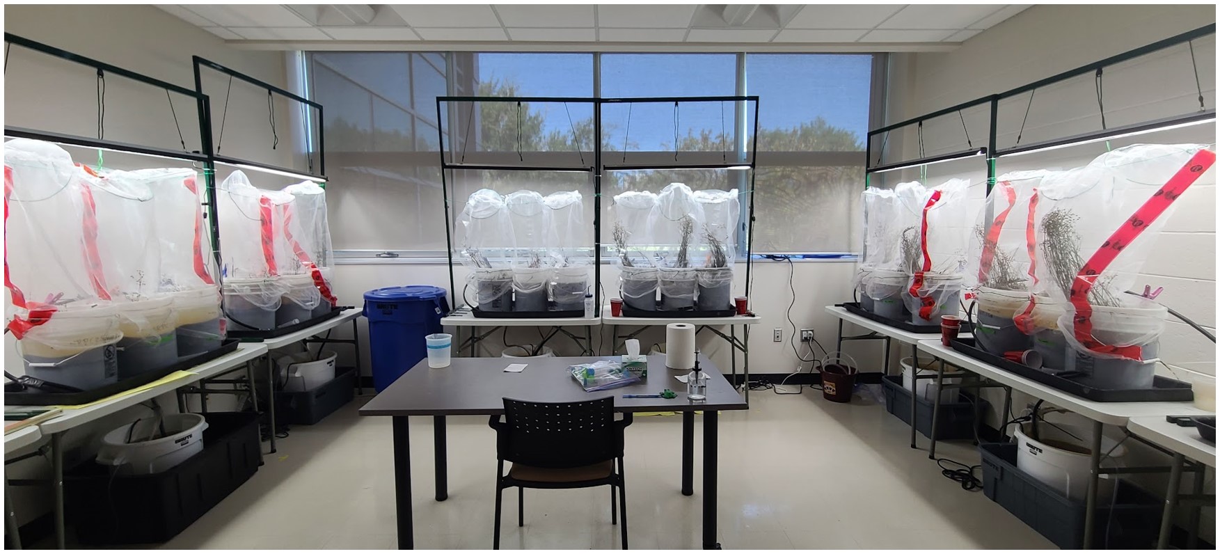 A laboratory with white buckets lined up along all walls. Buckets are covered in mesh and well-light.