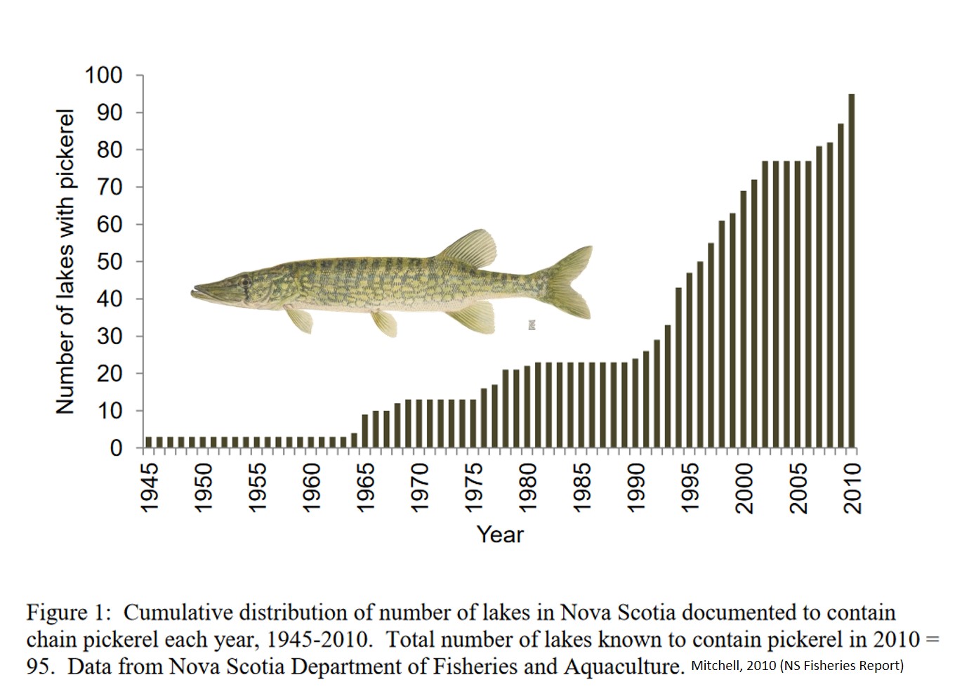 Halifax Sport Fishing Chart