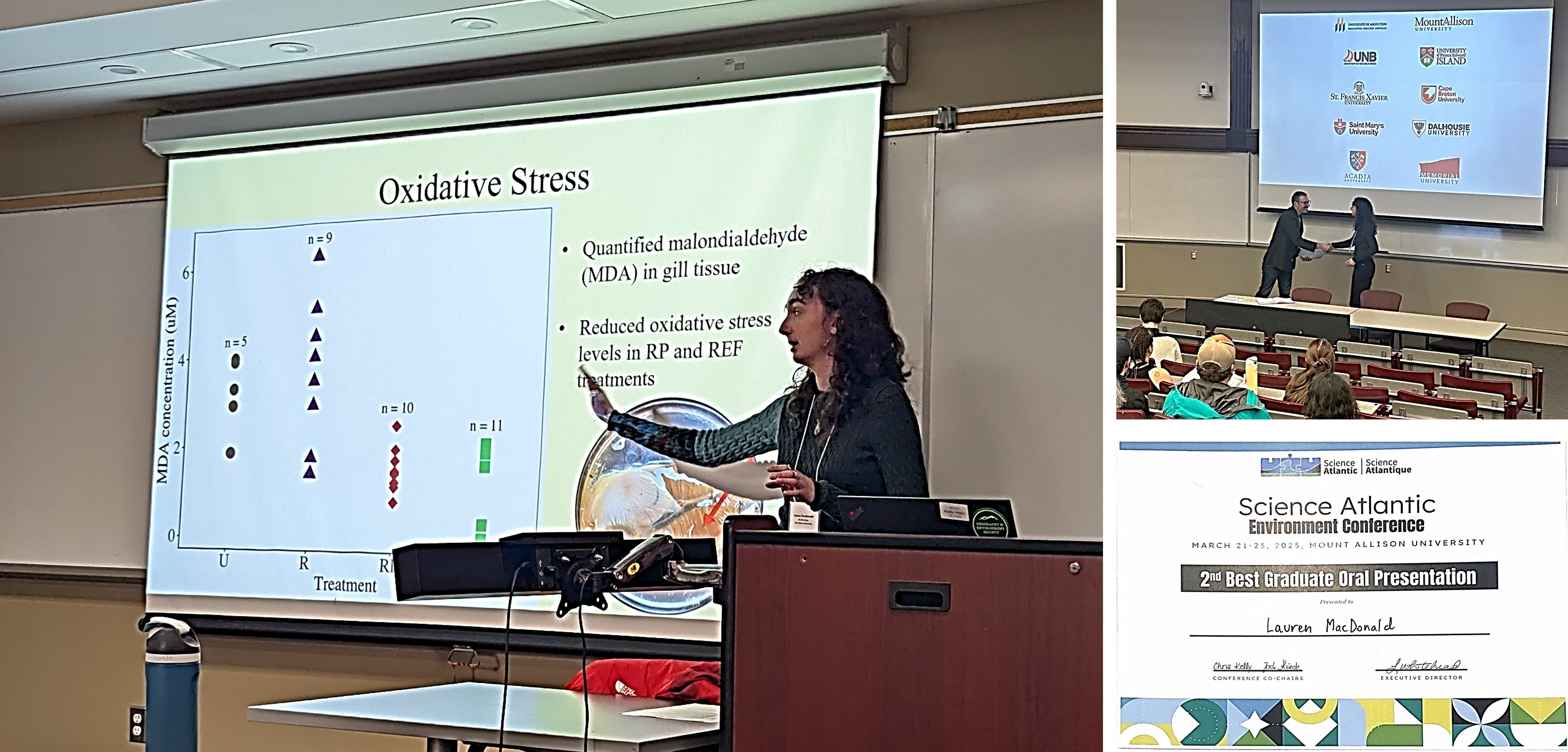 3-photo array. Main photo shows Lauren MacDonald explaining oxidative stress data on a screen.  Small photos shows Lauren accepting her award and the certificate.