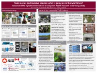Thumbnail of SMU Research Expo Poster 2018. If an accessible version is needed, please email Linda Campbell.