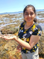 Zummara Tanwir holding a sea organism at a beach