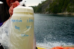 BL Nahuel Huapi Water Sample