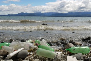 Washed up bottle litter NHNP