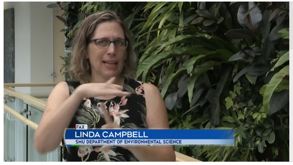 Screen Capture of CTV interview segment with Linda Campbell
