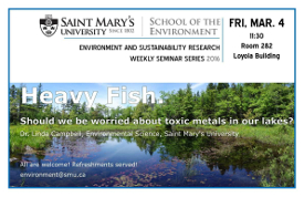 Link to School of Environment Seminar Poster