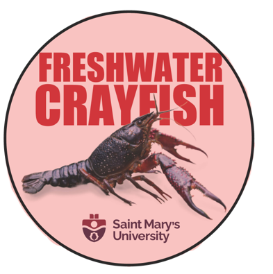 Round sticker design "Freshwater Crayfish" Saint Mary's University with a crayfish on it