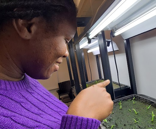 Enobong at work with some plants