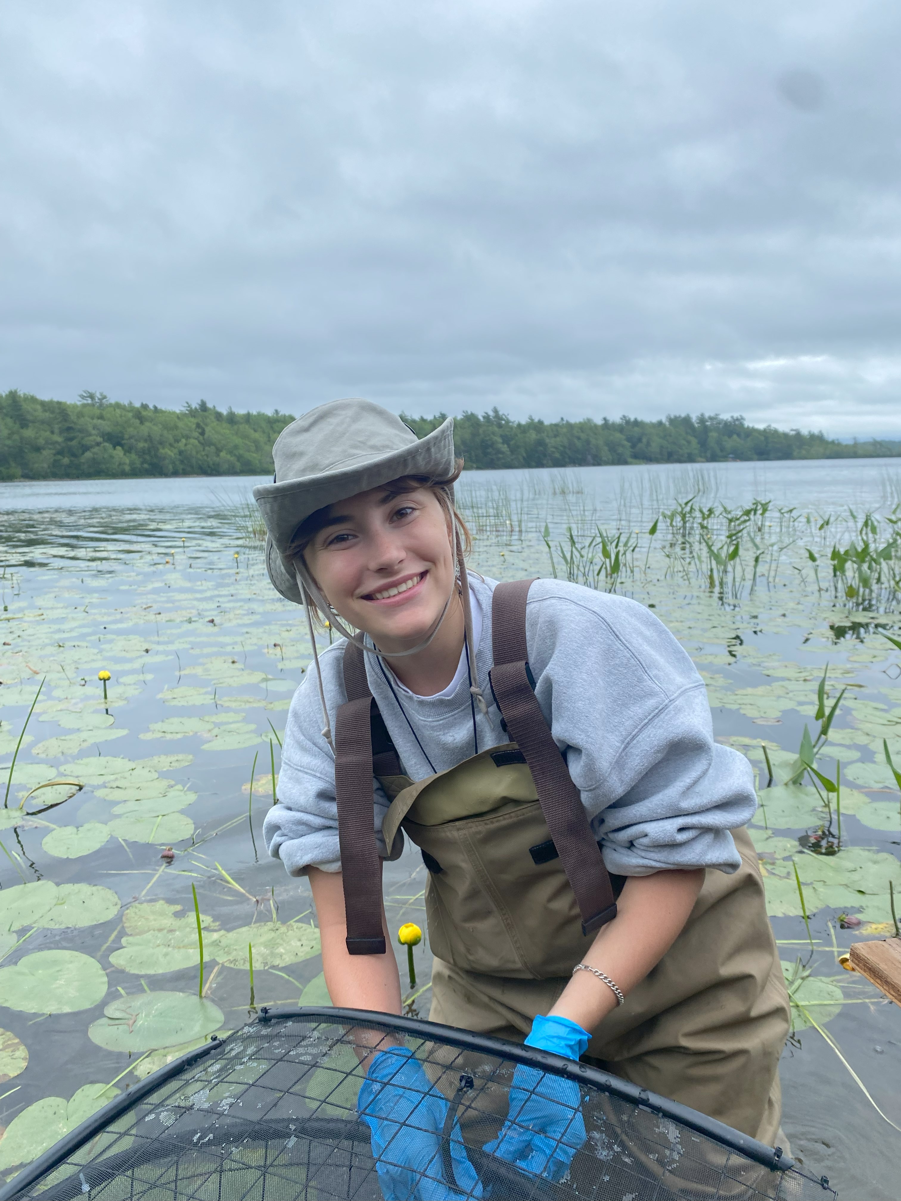 A woman wearing waders and lab gloves standing in a lake surrounded by water lilies, tending to a black mesocosm.