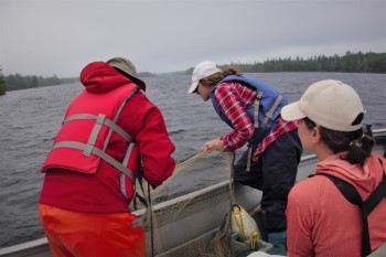 Group of people wearing lifejackets, waterproofs and hats in an aluminium boat pulling up a fish gill net from the lake.