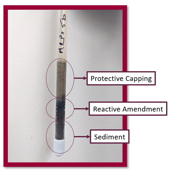A "micro core" of sediment layers using a straw, with protective capping, reactive admendment and sediment labelled
