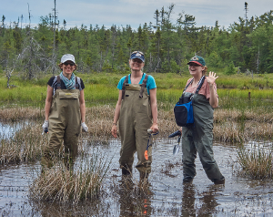 Linda, Emily and Julianne sampling, 2015