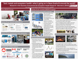 Link to the DEEHR SMU Research Expo Poster 2016
