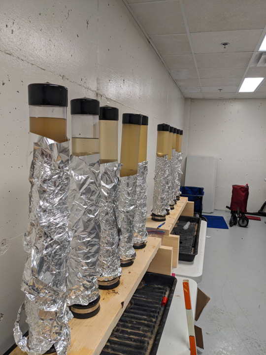 A row of clear PVC pipes mounted upright in wood supports wrapped with foil in a lab.
