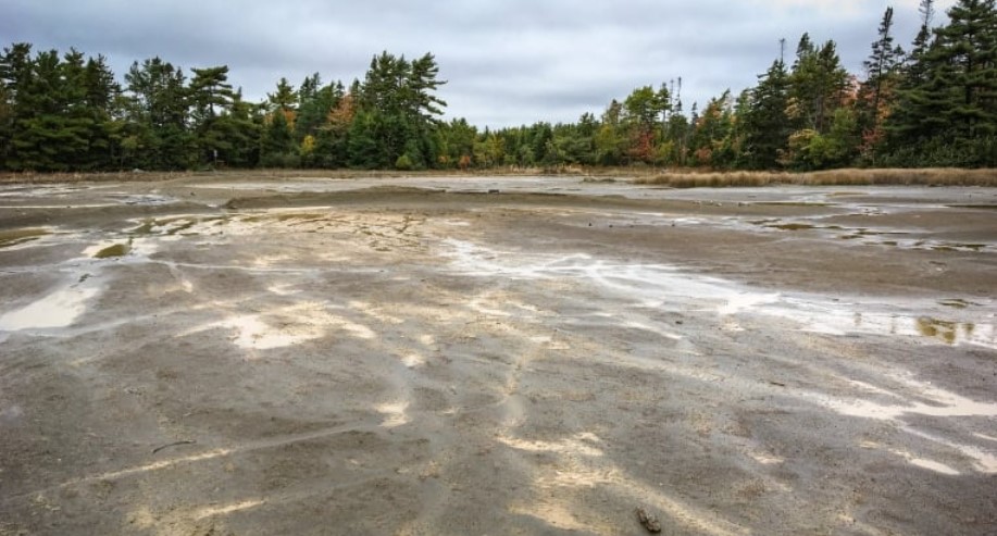 Landscape photo of a wet muddy ground with orange-red-white streaks and puddles surrouded by green conifer trees