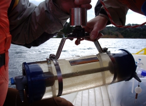 Zooplankton sampling